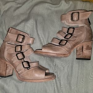 FREEBIRD by Steven Bianca